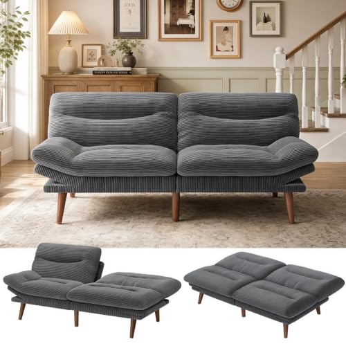 Marsail 66.02' Futon Sofa Bed, Convertible Couch & Sleeper Sofa, Light Grey