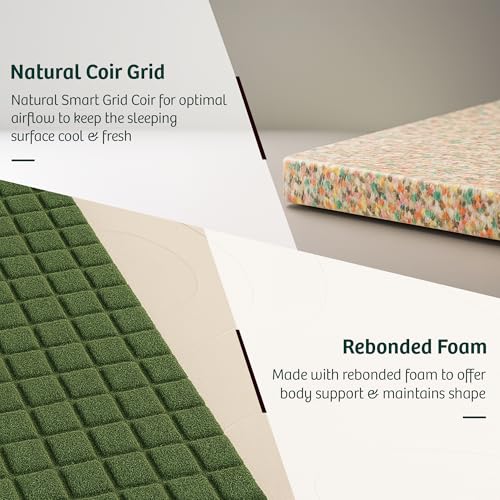 Image of Kurlobond Essential Mattress| Natural Coir & Rebonded Foam| Firm Back Support with Soft Foam Quilt | Breathable & Durable|Queen|75x66x5| 10-Year Warranty