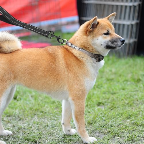 38 cm Hausleine für Hunde, Hundeleine Kurz Trainingsleine mit Gepolstertem Griff und 360° Drehbarer Metallclip Schwarz Kurzführer für Große Mittlere Kleine Hunde Schwarz