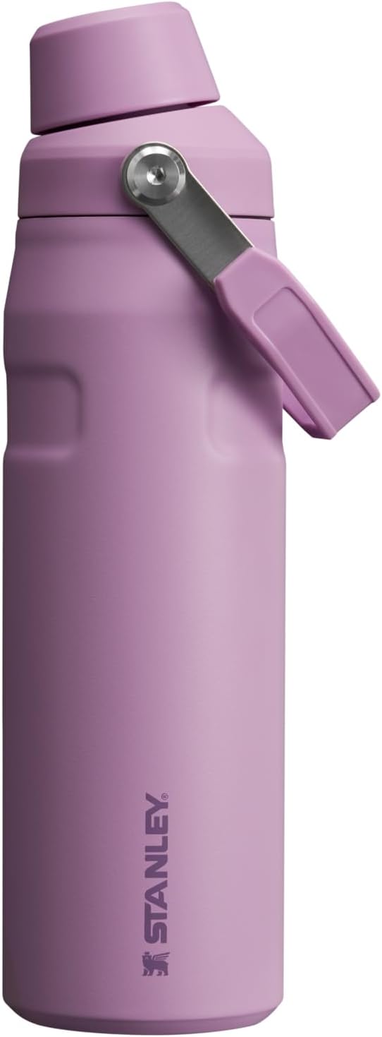 Stanley IceFlow Fast Flow Water Bottle 24 oz | Angled Spout Lid | Lightweight and Leakproof for Travel and Sports | Insulated Stainless Steel | BPA-Free | Lilac