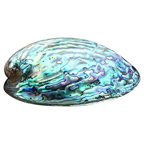 Phrat Seashell - Quemador de Incienso, diseño de Concha de abalón, para el hogar, el salón, decoración Delicada y Elegante