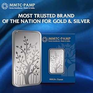 999.9+ Banyan Tree 100 gm 999.9+ Silver Bar 5 51yXTghRGOL. SL500 . SS300