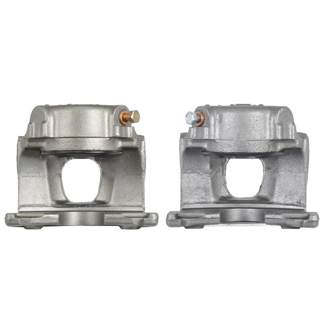 AUTO DN Compatible with 1973-1979 F-100 Front Left Right Disc Brake Caliper 2PCS