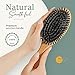 100% Boar Bristle Hair Brush for Women Set by Belula (L Size). Soft Natural Bristles for Thin and Fine Hair. Wooden Comb, Travel Bag and Spa Headband Included!