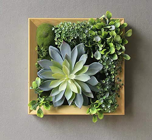 壁掛けグリーンフレーム Amazon｜【フェイク クグリーン 壁掛け 多肉植物】 エアープランツ