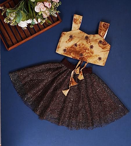 Image of ANNECA baby girl's designer rayon cotton modern crop top and naylon soft net knee lenth skirt clothing set