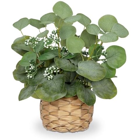 DILATATA Artificial Eucalyptus Stems in Woven Basket Planter, 12" Fake Plant Eucalyptus Leaves with Green Seeds Faux Potted Plant Greenery for Table Centerpiece Office Indoor Home Decor Cover