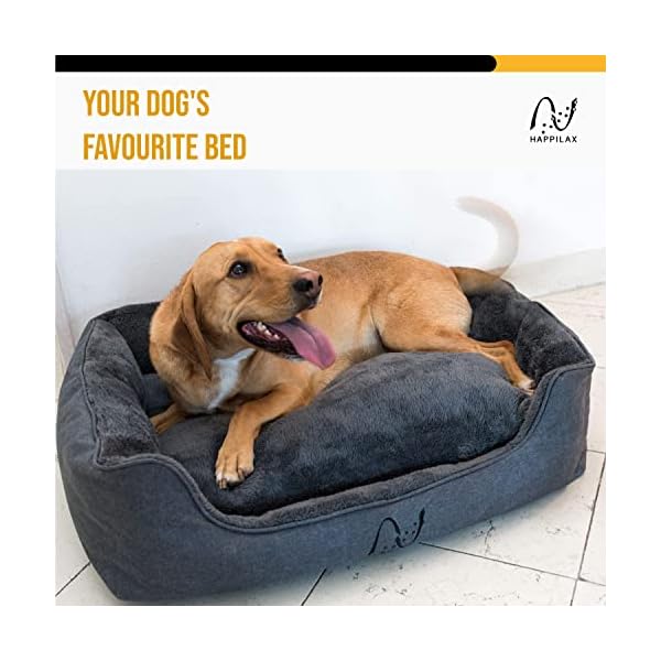 Happilax-Dog-Bed-Washable-Plush-Pillow-Dog-Bed-with-Removable-Cover-Raised-Edges-Small-to-Large-Dogs-Rectangular-Bolster-Pet-Bed-Grey Dog Bed with Washable Plush Pillow