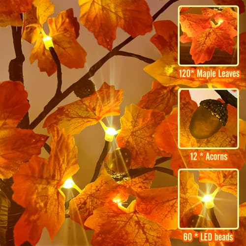 Arboles Decorativos, Lawn & Patio Imagen adicional