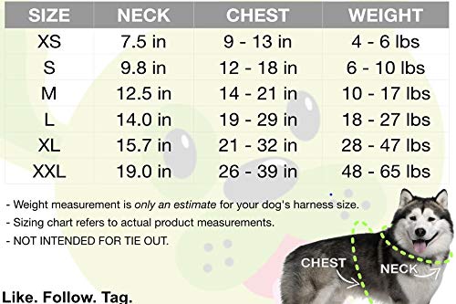 Image of EcoBark Dog Harness - Eco-Friendly Max Comfort Harnesses - Luxurious Soft Mesh Halter - Over The Head Harness Vest- No Pull and No Choke for Puppy, Toy Breeds & Small Dogs (Small, Baby Pink)