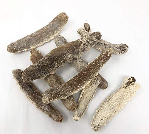 蟲草城 韓國白玉刺參 1磅   Chung Chou City Korean White Sea Cucumber 1 LB