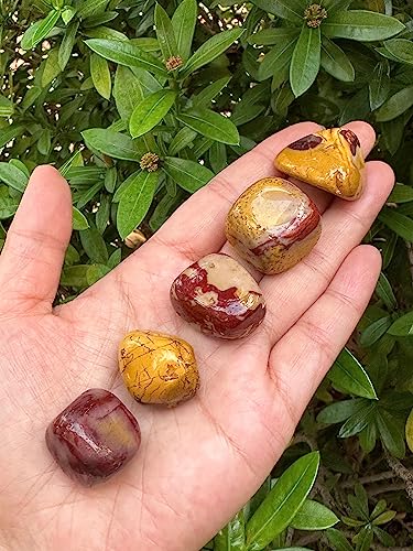 Image of GAF TREASURES 1 /2 LB Mookaite Tumbled Stones, Polished Mookaite Gemstone, Mookaite Healing Crystals (Mookaite)