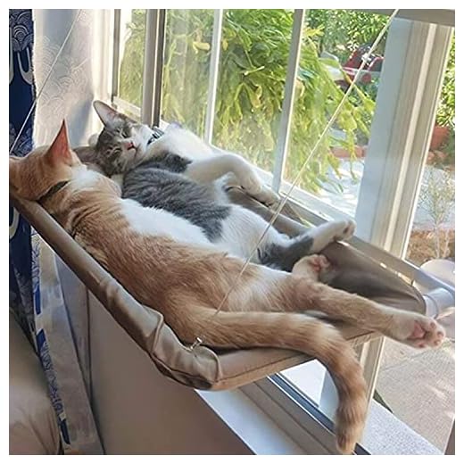 Hamaca de Ventana de Gato, Hamaca de Ventana de Gato, instalación de ventosas, alféizar de Ventana de Gato, Asiento de Ventana de Gato, Hamaca de Cama de Gato Que Ahorra Espacio