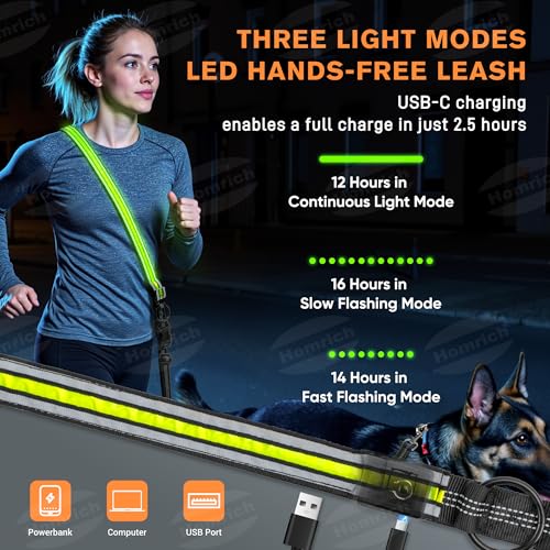LED Freihandleine Hundeleine, Wiederaufladbar Joggingleine mit Autosicherheitsgurt für Kleine & Mittelgroße, Verstellbar Leine für Nachtsicherheit Spaziergänge (2,6 M)