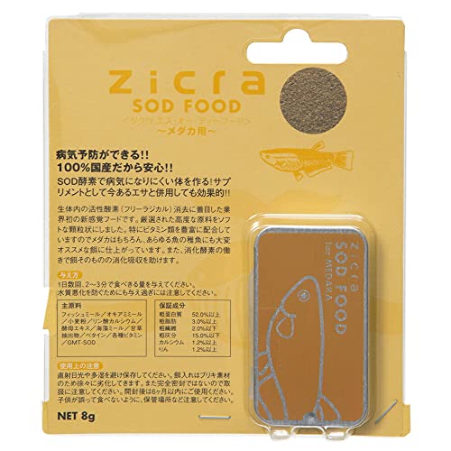 WN GXEI[EfB[t[h rnc ennc _Jp W _J̉a