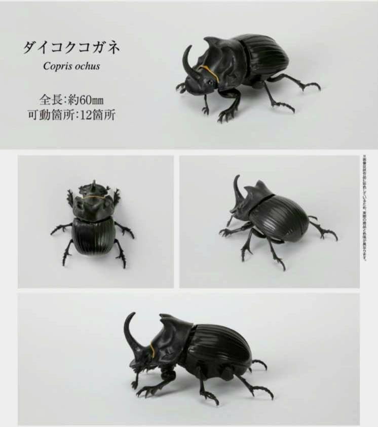 Amazon.co.jp: ?いきもの大図鑑 ダイコクコガネ : おもちゃ