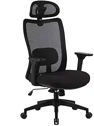 Cadeira Ergonômica Elements Astra Pro Preta