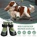 LiebeDD Hundeschuhe Pfotenschutz 4 Stück Hund Verletzung Leckschutz Hundesocken Anti Rutsch Hunde Schuhe Outdoor mit Wasserdicht Sohle, Grün, XL