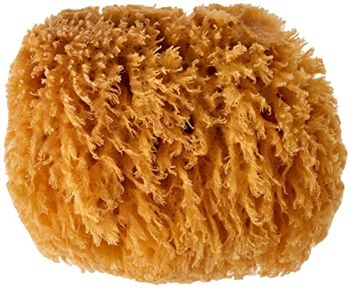 Croll & Denecke M090 - Esponja Natural del mar Mediterráneo (Calidad Media, 9 cm)