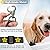 Dog Bathing Tether with Heavy Suction Cup, Dog Grooming Tub Restraint Leash with Adjustable Collar for Pet Dog Cat Shower and Grooming
