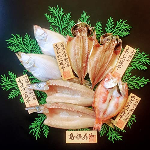 島根 岡富商店 島根沖清流干物セット エテかれい2枚(計約140g、一括真空)、あじ2枚(計約140g、一括真空)、のどぐろ1枚(約75g、個別真空)、かます1〜2枚(計約170g、個別真空)