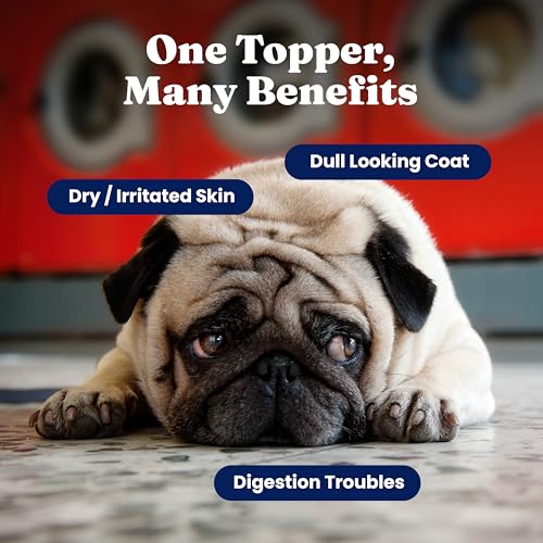 Solid Gold Dog & Cat Multivitamin Powder, Omega 3 & Kelp, Skin & Coat, 5oz - Image 3