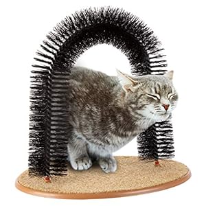 Cat Self-Groomer – Bristle Ring Brush Cat Arch with Carpeted Base, Back Scratcher and Massager for Controlling Shedding and Claws by PETMAKER (Black)
