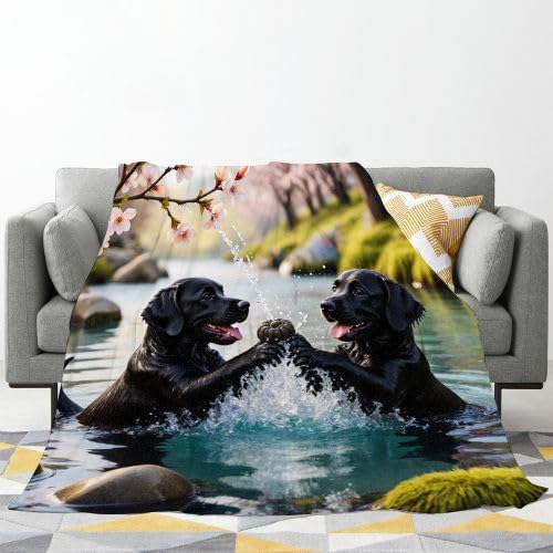 Podwójny koc polarowy 240 x 260 zwierząt dla psów, XXL super miękki koc 240 x 260 cm | Wielofunkcyjny jako narzuta na łóżko lub koc do salonu, ciepły i lekki, ochrona przed zimnem B185