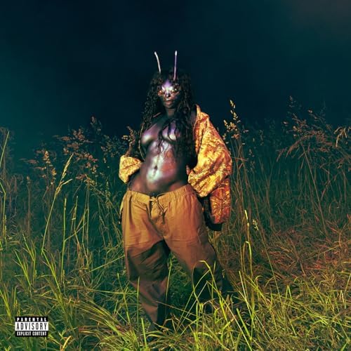 新品未開封 SZA SOS Lana シザ ラナ LPレコード SOS DELUXE: LANA (4LP) (GREEN VINYL)/SZA/シザ/SZA(シザ)の大