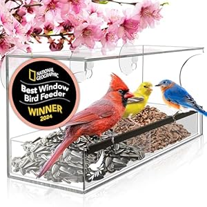 Windowbirdfeedereasytousetoattractbirdscoolandunusualforadultswhohaveeverythingbirdwatchingwindowbirdfeederswithstrongsuctioncupslargeinwindowviewingforelderlyparents Urban Country Home Decor Window bird feeder easy to use to attract birds cool and unusual for adults who have everything bird watching window bird feeders with strong suction cups large in window viewing for elderly parents urban country home decor