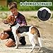 FEimaX Hundehalsband Personalisiert Hunde Halsband für Kleine Mittelgroße Hunde, Breite Reflektierende Verstellbares Taktisch Hundehalsband mit Metallschnalle für Ausbildung (Schwarz, M)