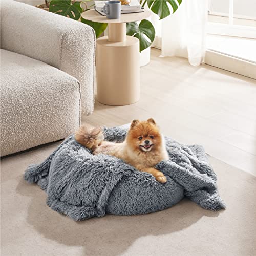 BEDSURE wasserdichte Hundedecke für kleine Hunde - 60 x 80 cm Langer Plüsch Hundedecke waschbar, Haustier Decke flauschig und weich, Schutzdecke Hundesofa, Katzendecke für Katzen, Grau