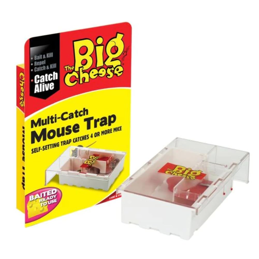 The Big Cheese Multi Stv 162 Catch Mouse Trap