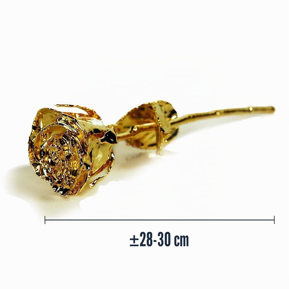 mikamax - Rose d'Or - 24 Karat - Avec Certificat d'Authenticité - Coffret Cadeau Noir, X-Large