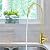 Wellup Reverse Osmosis Faucet - Brushed Gold, Leadless Stainless Steel Kitchen Water Filter for Non Air Gap RO System