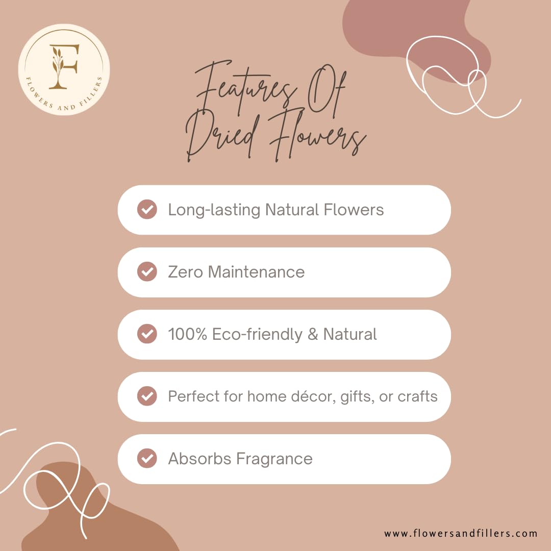 Flowers and Fillers Golden & Brown Pine Cone 10 Sticks |Home Decor and Vase Fillers 4
