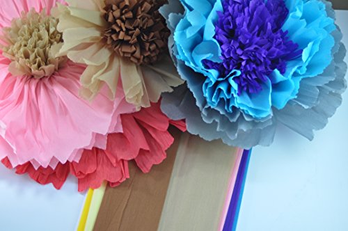 Crepe Paper 12 Different Colors Flower Making Art Projects Crepe Paper
