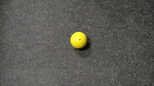 Smart Hockey Off-Ice Stick Handling/Training Ball - Official Puck Weight (Yellow)