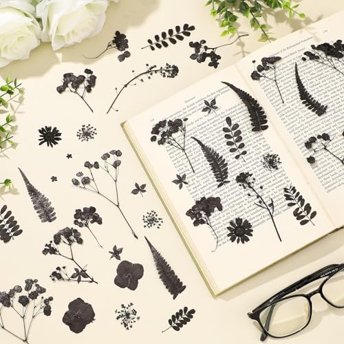Flores secas prensadas Fabbay 200 piezas para manualidades miniatura 2