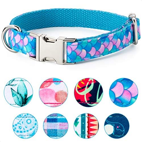 VIILOCK Elegant Dog Collar for Small Medium Large Dogs, Puppy Collar for Girl Dog (Mermaid Blue, M)