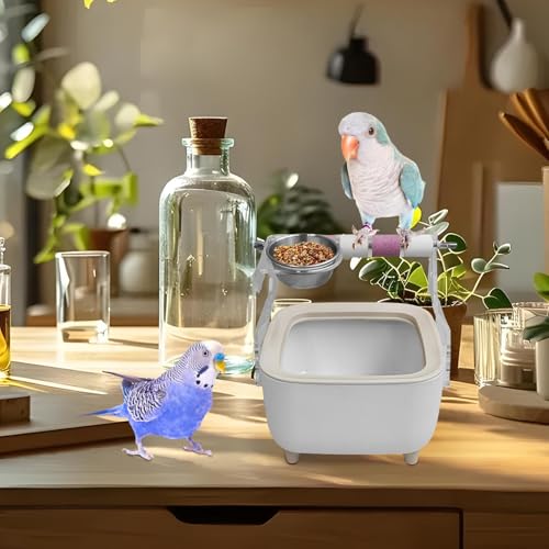 Support de toilettes pour oiseaux inséparable et perchoir pour perroquet