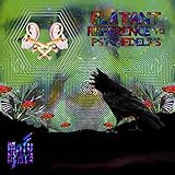 Digital Signal Processing