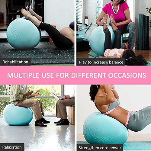 image for Sporus Exercise Ball Chair (65cm), Yoga Ball for Office and Fitness wi