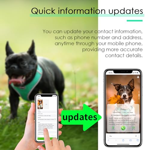 ThinkPet Hundemarke, reflektierend, atmungsaktiv, weiches Air-Mesh mit QR-Code, Erstickungsfrei, für Welpen, kleine, mittelgroße Hunde und Katzen, klein, blaugrün