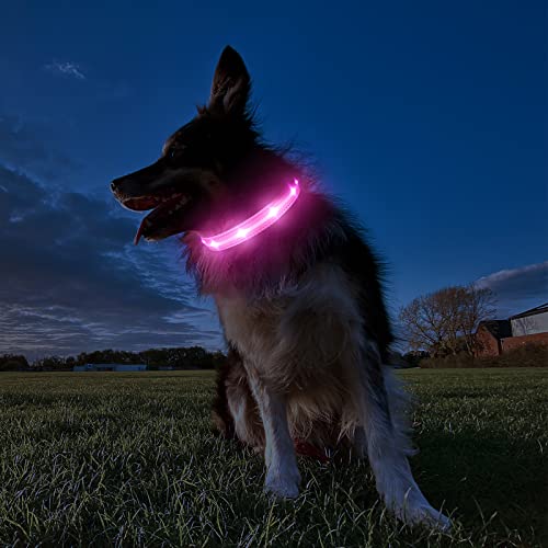 Hundehalsband Leuchtend Aufladbar, Leuchthalsband Hund 7 RGB Farbwechsel mit 8 Leuchtmodi, Verstellbare LED HundeHalsband Wasserdicht für Kleine Mittlere Große Hunde Leuchtendes Halsband, Rosa M