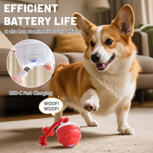 AMFUN Interaktives Hundespielzeug, Interaktiver Spielball für Hunde mit Schnur, Hundeball Elektrisch Ball, 3 Spielmodi, für Kleine Hunde & Welpen(Rot)