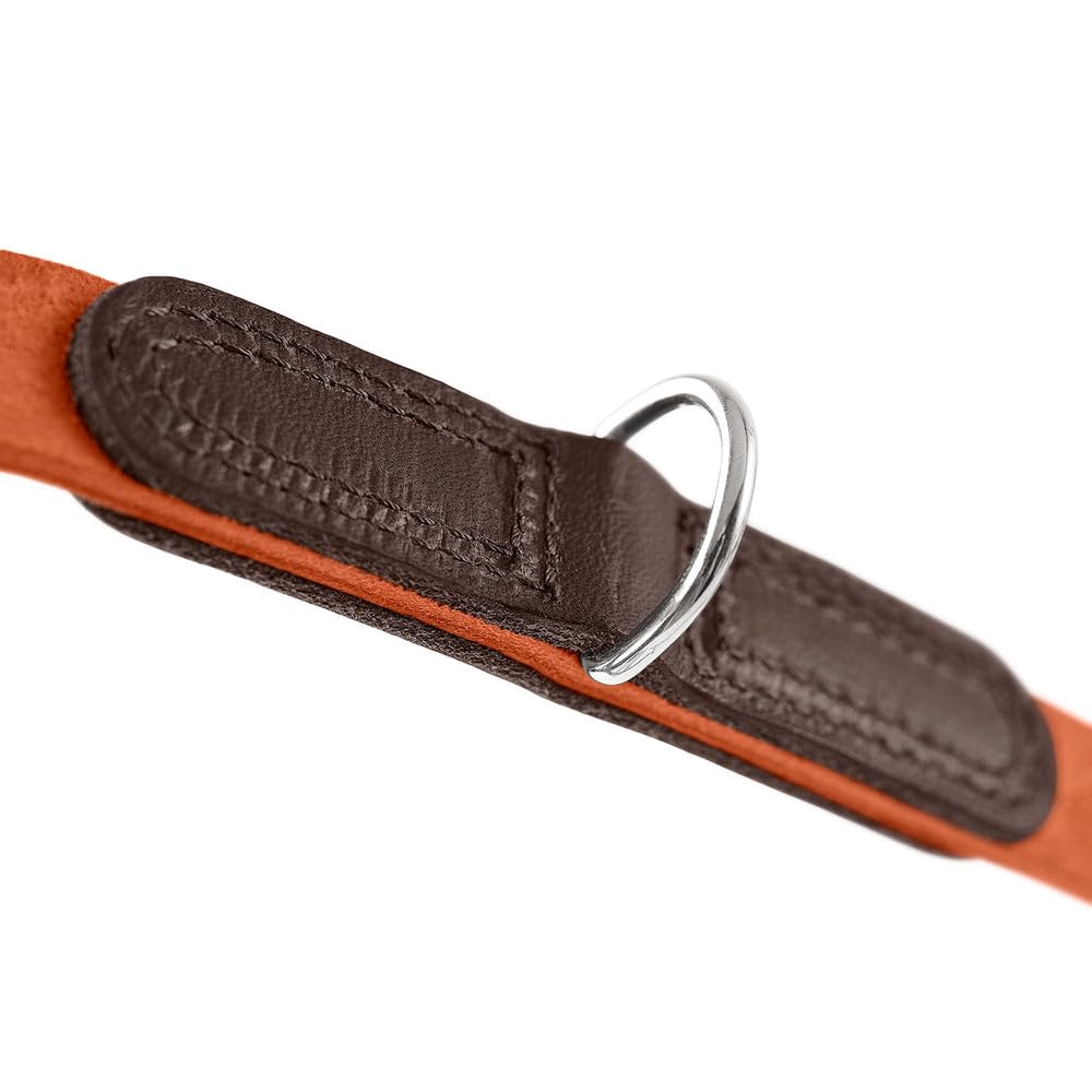 HUNTER LEMVIG - Correa Ajustable para Perros (Piel, 3 Posiciones, Ajustable, Resistente y Duradera, cómoda, Elegante y Moderna, Fabricada en Alemania, tamaño: 15/200)