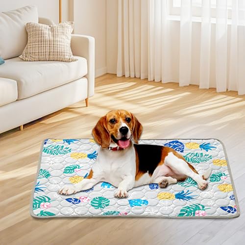 Bocguy Kühlmatte Hund, 100x70cm Kühldecke Hund, Kühlmatte für Große Hunde Katze, Selbstkühlende Hundematte, Hundedecke Sommer für Haustiere für Zuhause Unterwegs Oder im Auto(Gray - Regenwald)