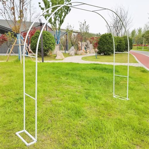 K[fA[` oA[` |I SA[`  p[eB[  o[A[` 140 240 300 350cm I [YgX I ^   AA[` X^h  O ԃX^h  萫 ό |A[`(W