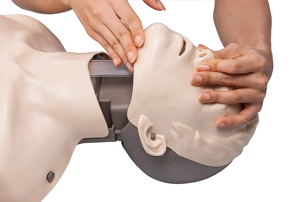 BRAYDEN Basic CPR Reanimationspuppe ohne LED
